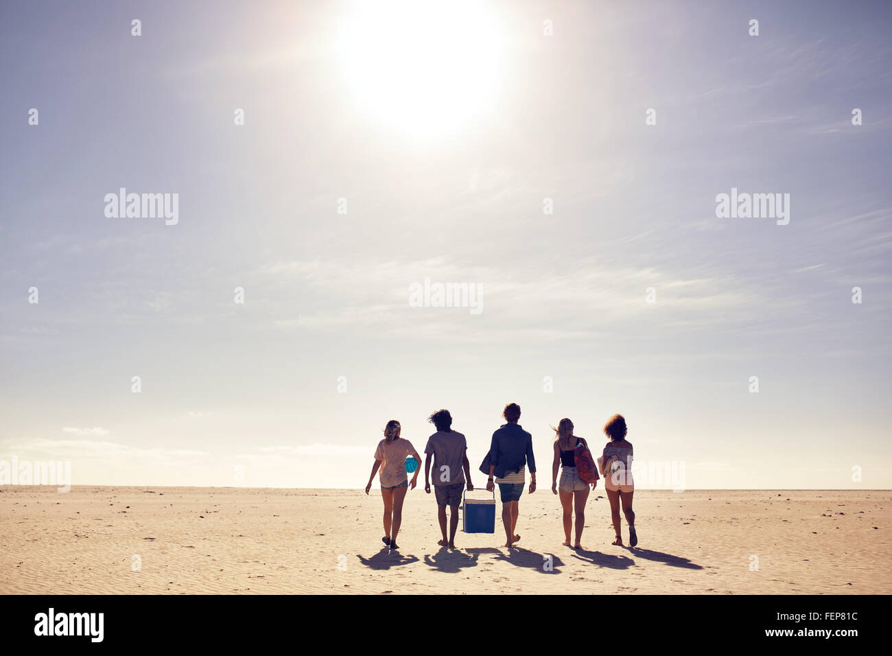 Vista posteriore del ritratto di giovani portando scatola dello scambiatore di calore di camminare sulla spiaggia. In cerca di un posto per il partito. Gli amici sulla spiaggia vaca Foto Stock