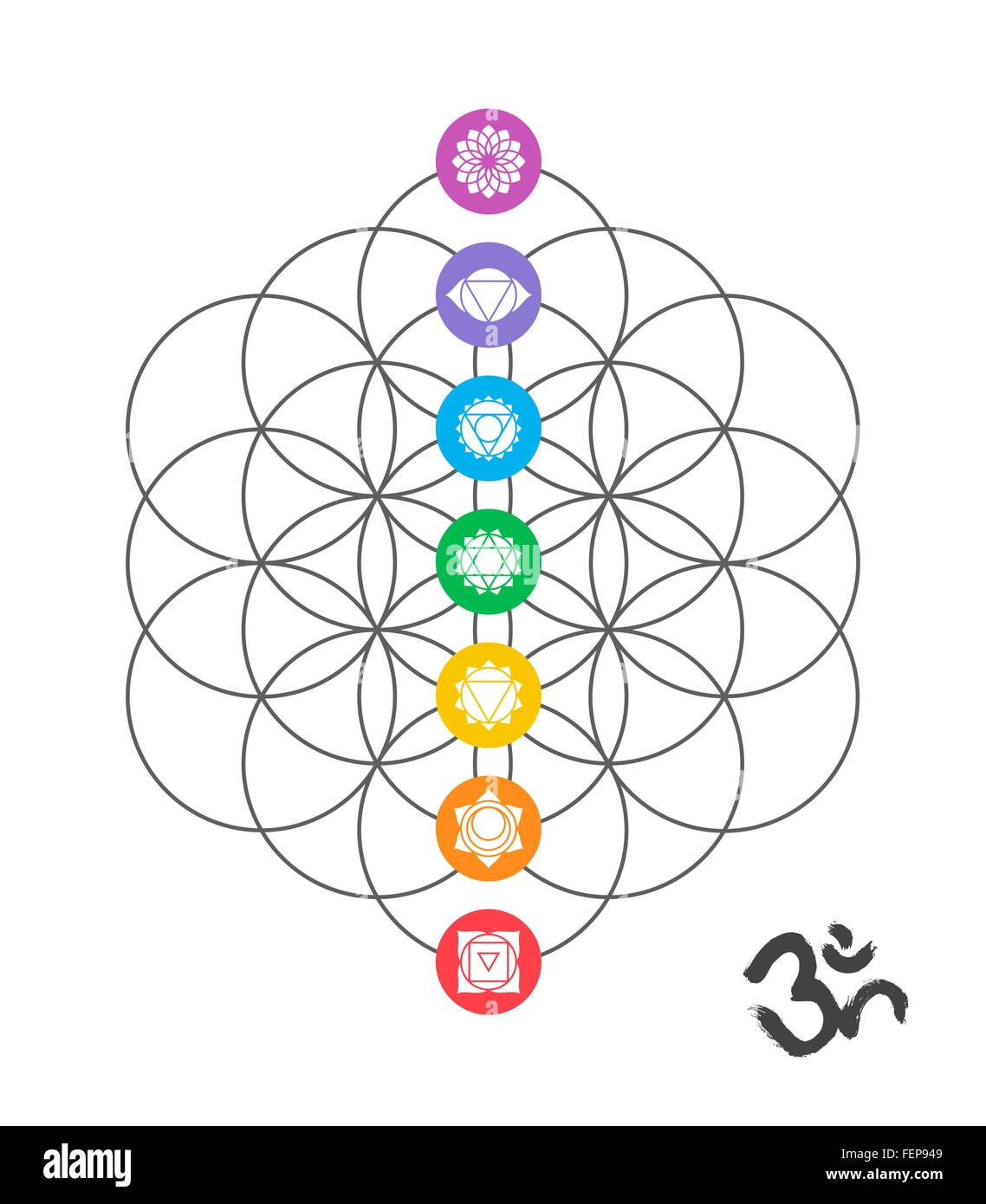 Icone colorate, chakra principali sul fiore della vita. Geometria Sacra Immagine con fatti a mano la calligrafia om decorazione. EPS10 Illustrazione Vettoriale
