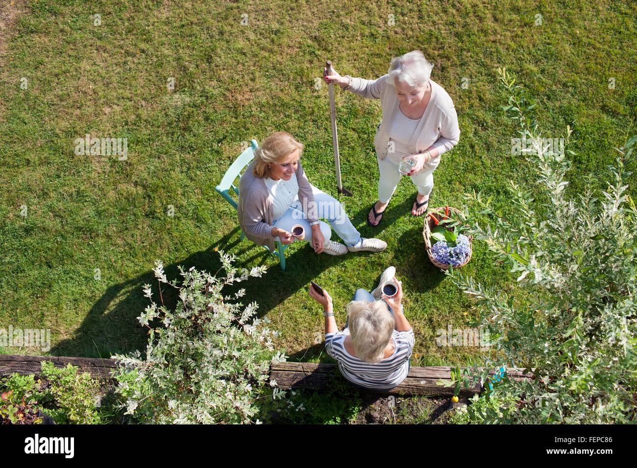 Tre donne parlare insieme in giardino, vista aerea Foto Stock