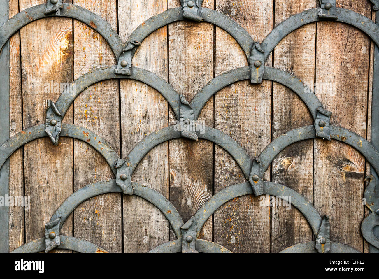 Cancello di legno ricoperta di Ferriera, castello di Dubno, Ucraina Foto Stock