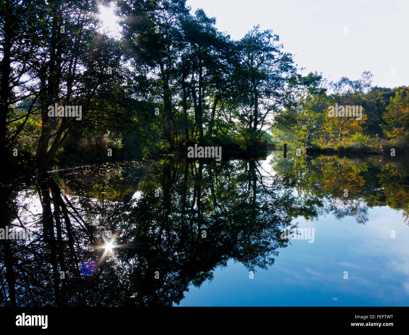 Gli alberi si riflette ancora in acqua calma con sunburst che brilla attraverso i rami Foto Stock