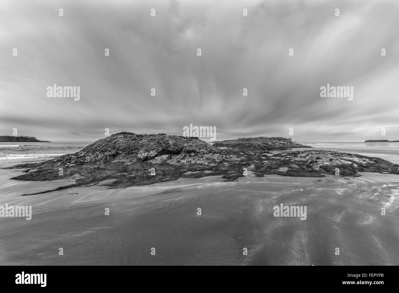 La bassa marea con raven, BW, Chesterman Beach, Tofino, British Columbia Foto Stock