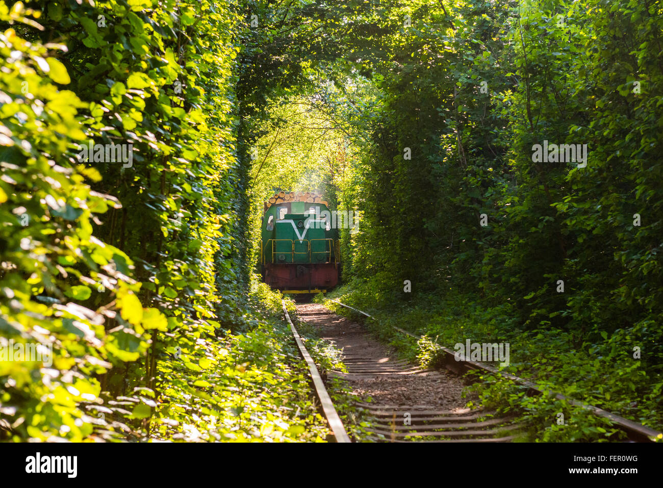 Treno merci che trasportano il legname passa attraverso un tunnel naturale chiamato 'Tunnel d'amore" in Klevan, Rovno Regione, Ucraina Foto Stock