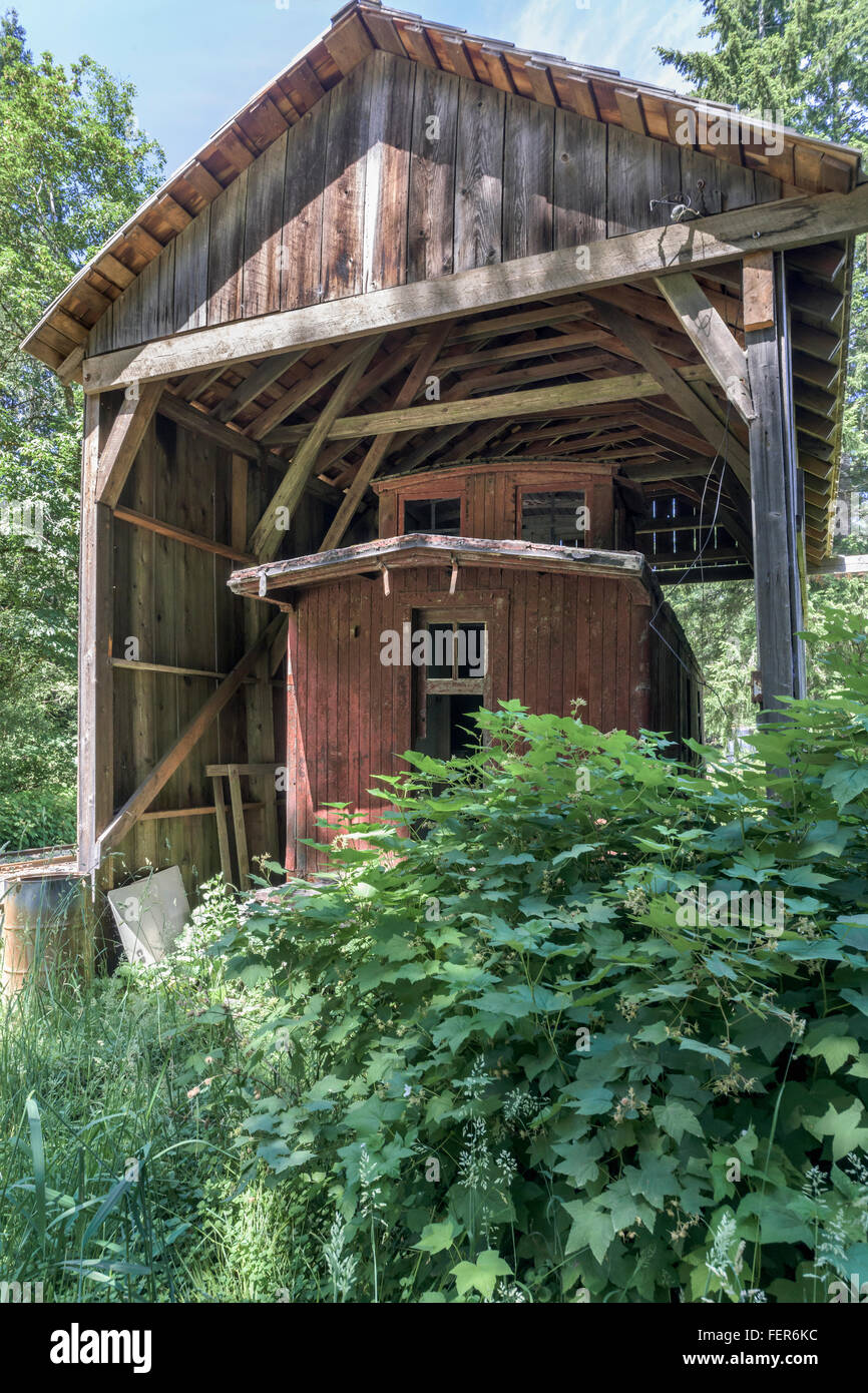 Vecchio caboose, McLean Mill, Alberni Valley, British Columbia Foto Stock
