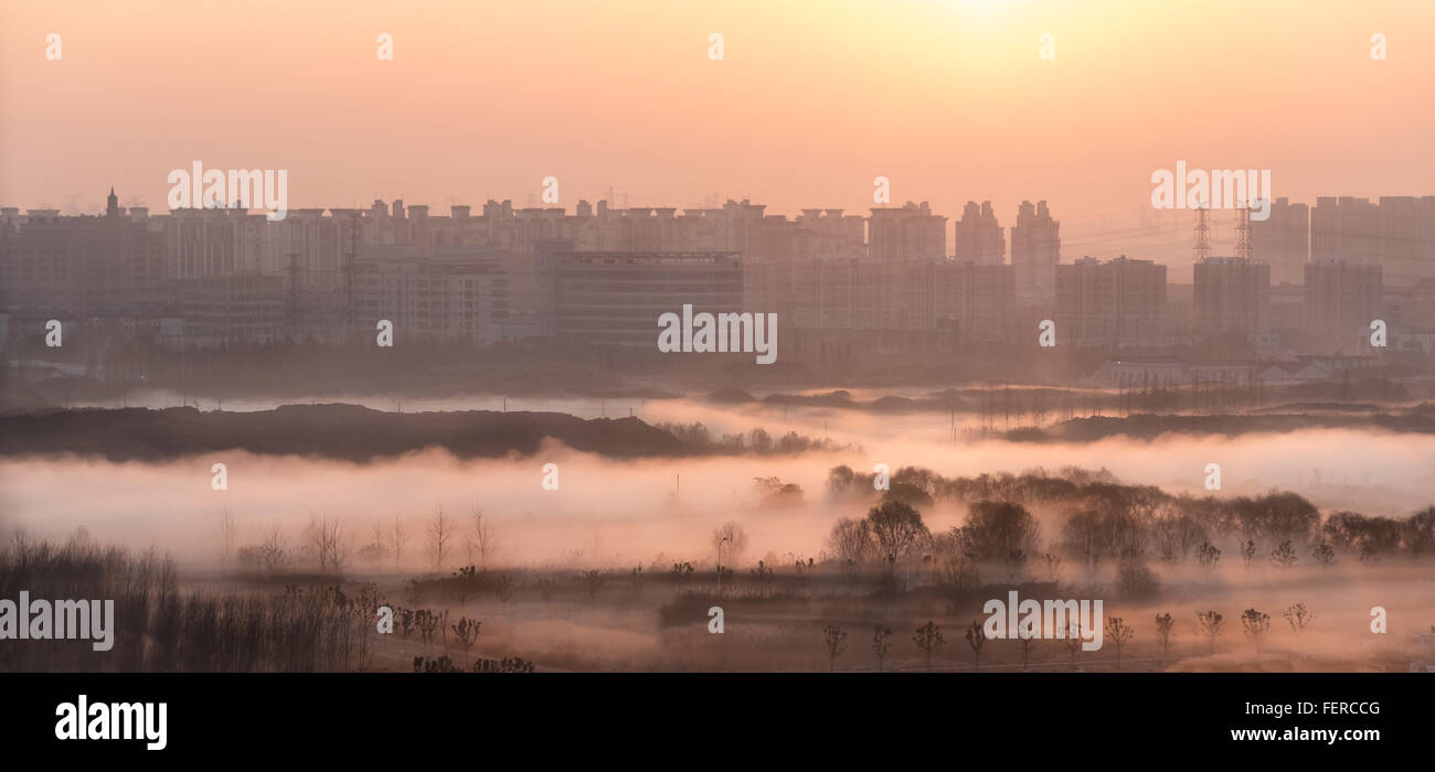 Mattina nebbia copriva gli alberi a sunrise in Cina a Shanghai. Foto Stock