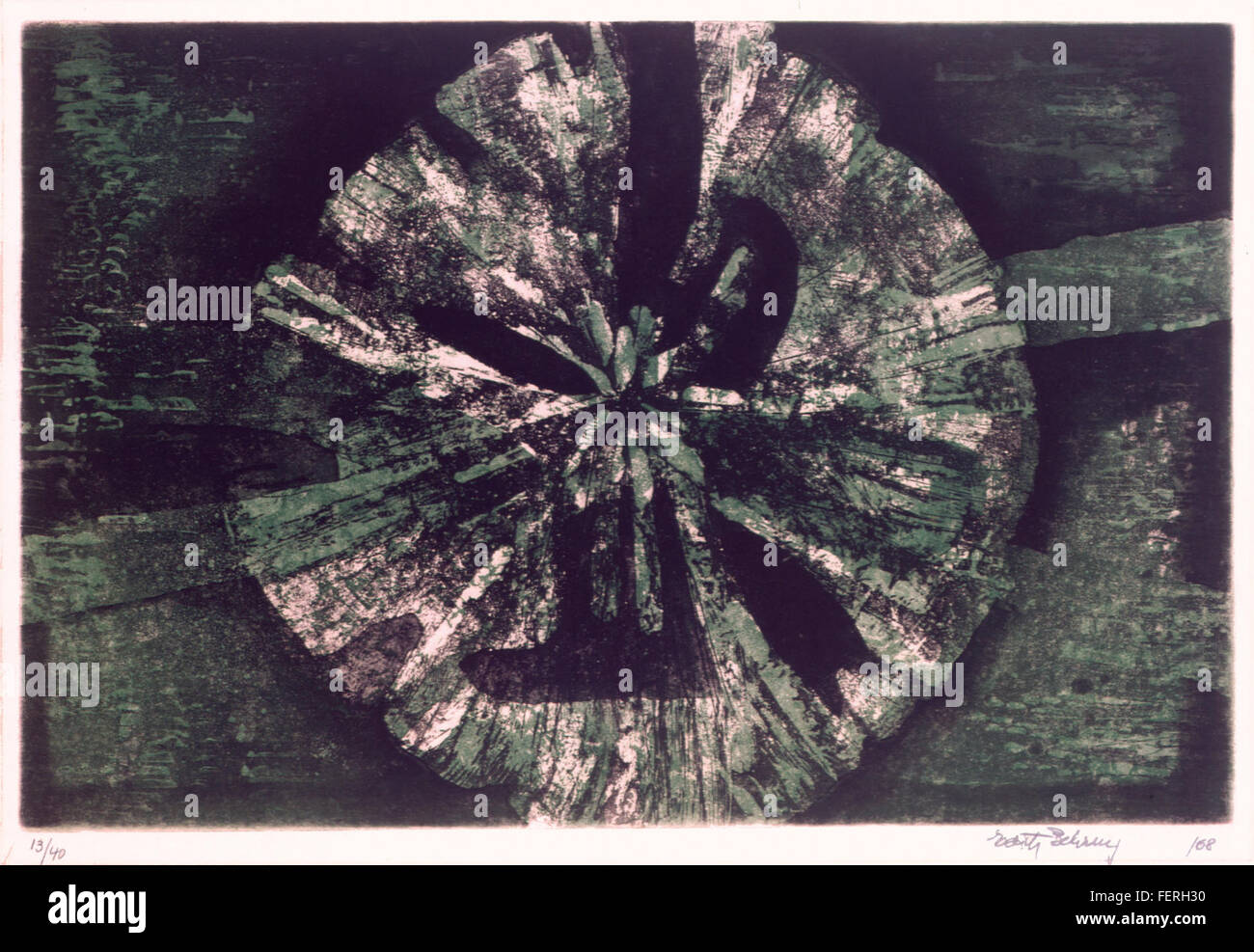 'Flor Verde' è una stampa del 1968 di Edith Behring, creata utilizzando tecniche calcografiche e acquatinte. Questo pezzo, di 42 cm x 60 cm, raffigura un tema floreale ed è stato prodotto a Brasilia, Brasile. La stampa riflette lo stile artistico distintivo di Behring e il suo uso delle tecniche di stampa. Foto Stock