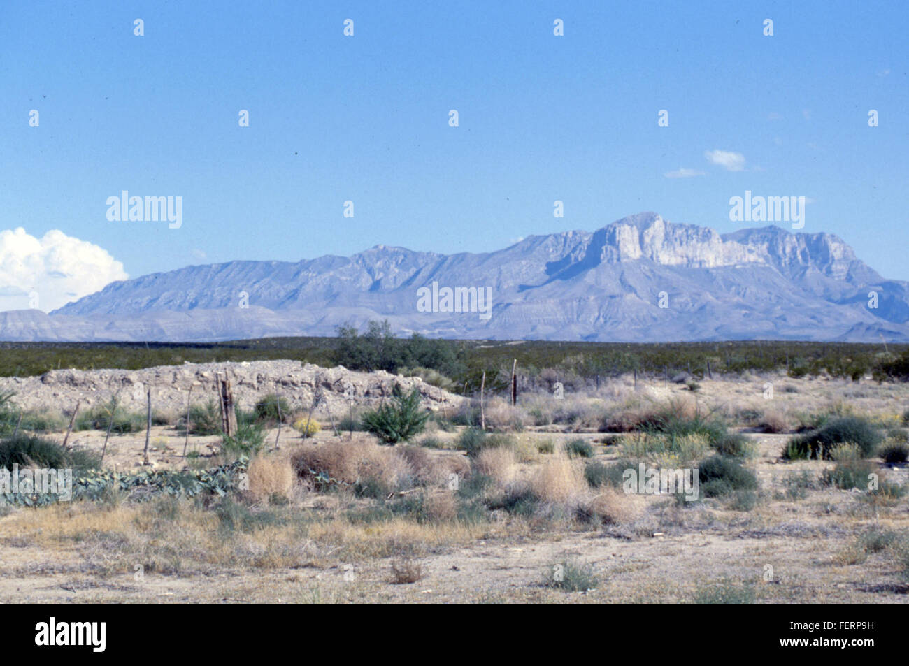 Un'immagine che mostra il paesaggio o le attrazioni culturali del Texas, un grande stato nel sud degli Stati Uniti noto per la sua varia geografia, storia e vibrante cultura. Foto Stock