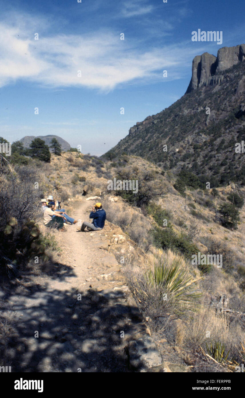 Una fotografia o una rappresentazione storica del Texas, che enfatizza gli aspetti culturali, geografici e storici distintivi dello stato. Il Texas è conosciuto per i suoi vasti paesaggi, la ricca storia e l'identità unica degli Stati Uniti Foto Stock