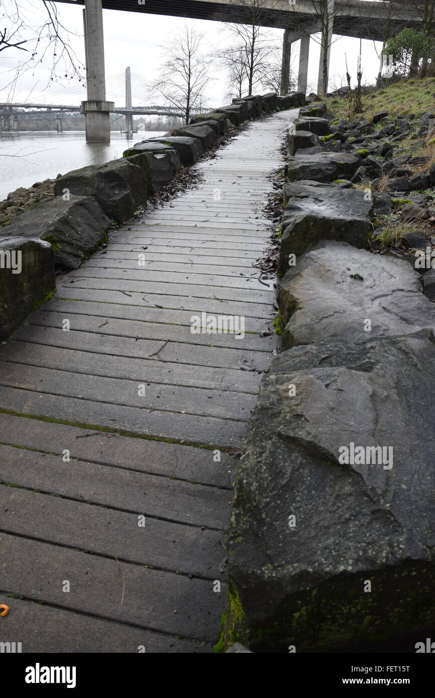 Waterfront trail dal fiume Willamette. Foto Stock