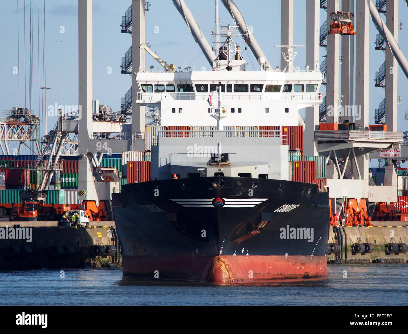 Condor (nave, 2012) l'IMO 9429235 porto di Rotterdam pic2 Foto Stock
