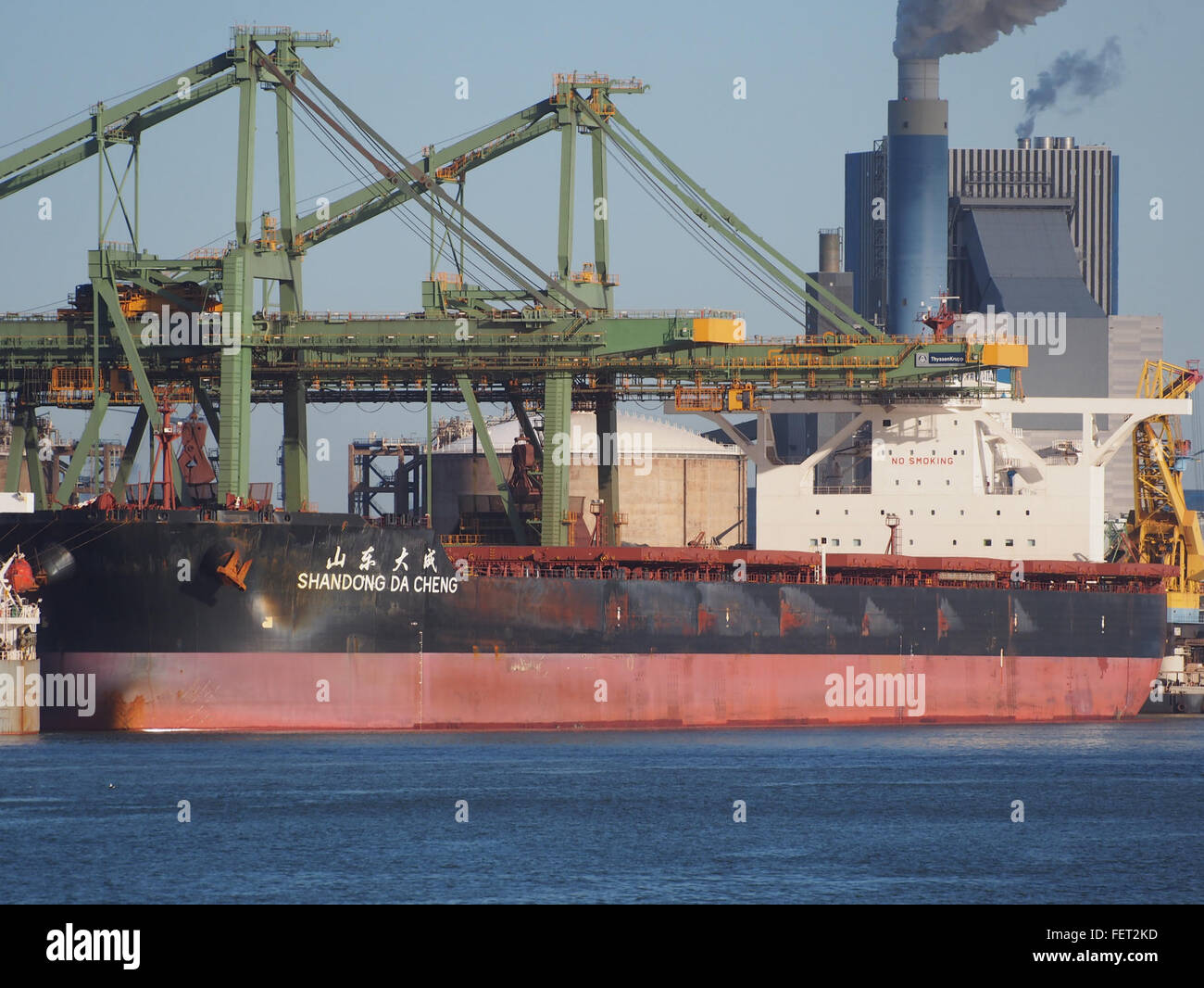 Shandong da Cheng (nave, 2012) l'IMO 9593919 porto di Rotterdam pic1 Foto Stock