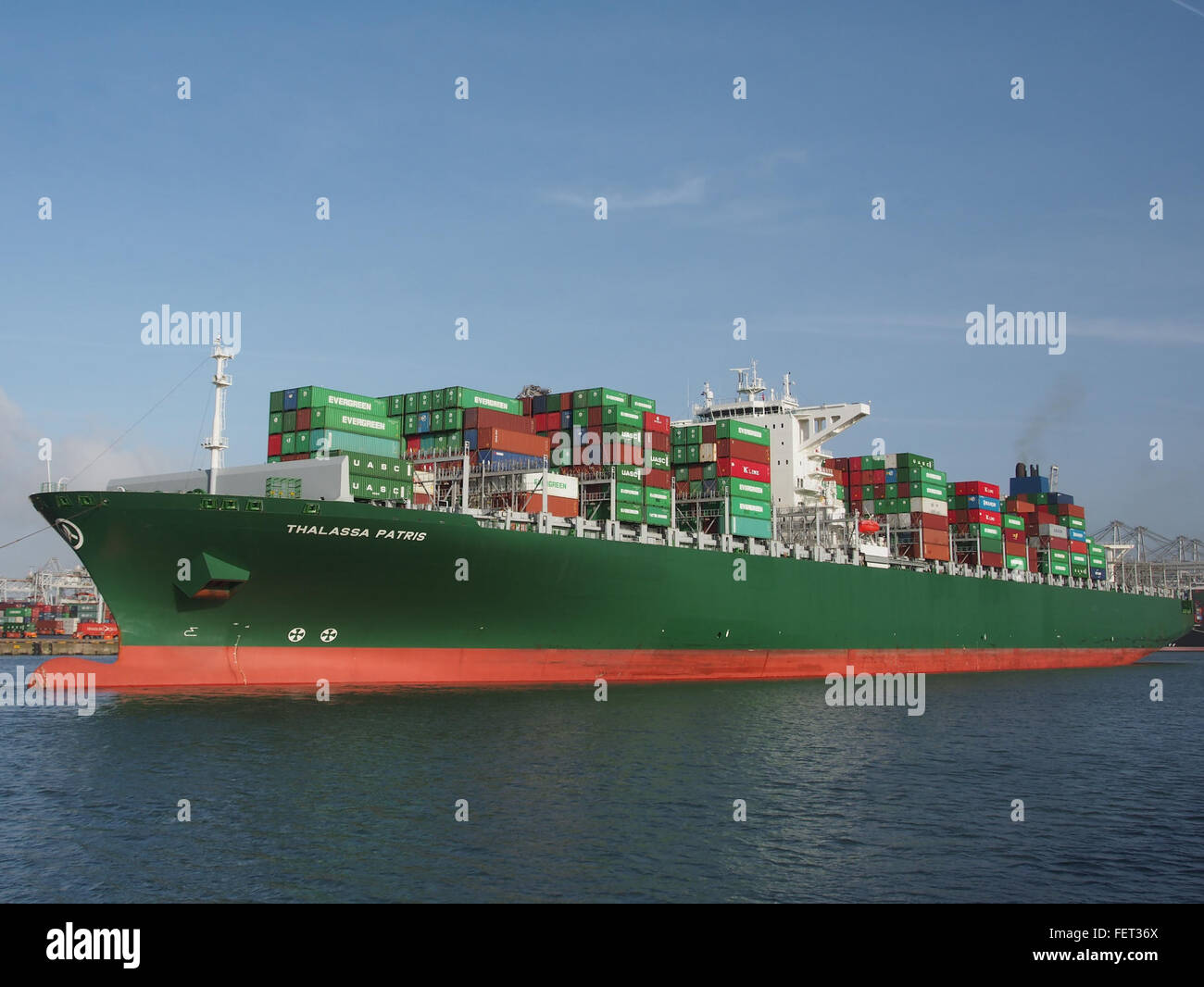 Thalassa Patris (nave, 2013) l'IMO 9665607 Amazonehaven porto di Rotterdam PIC10 Foto Stock