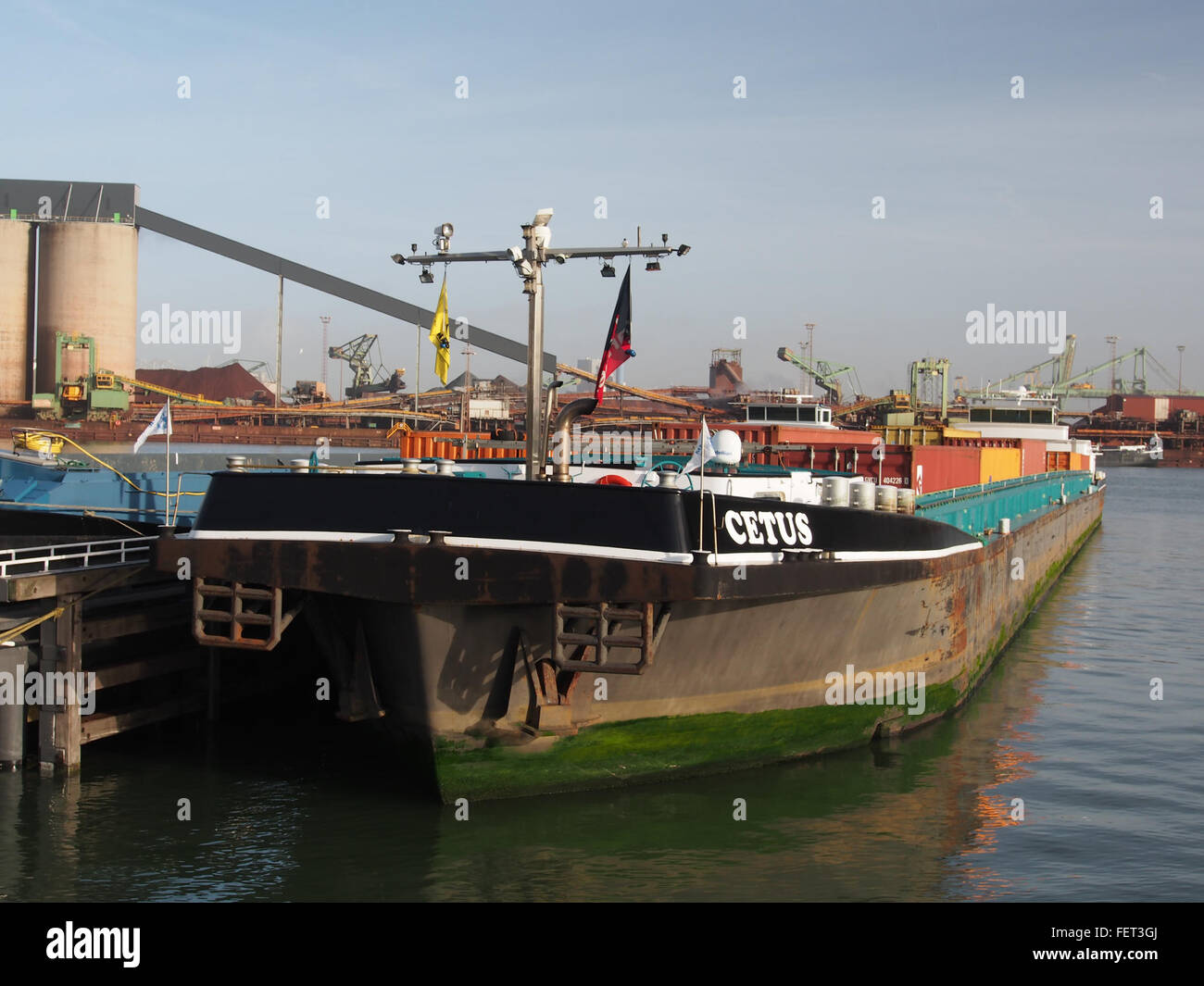 Cetus (nave,1993) ENI 06004304 Hartelhaven porto di Rotterdam pic1 Foto Stock