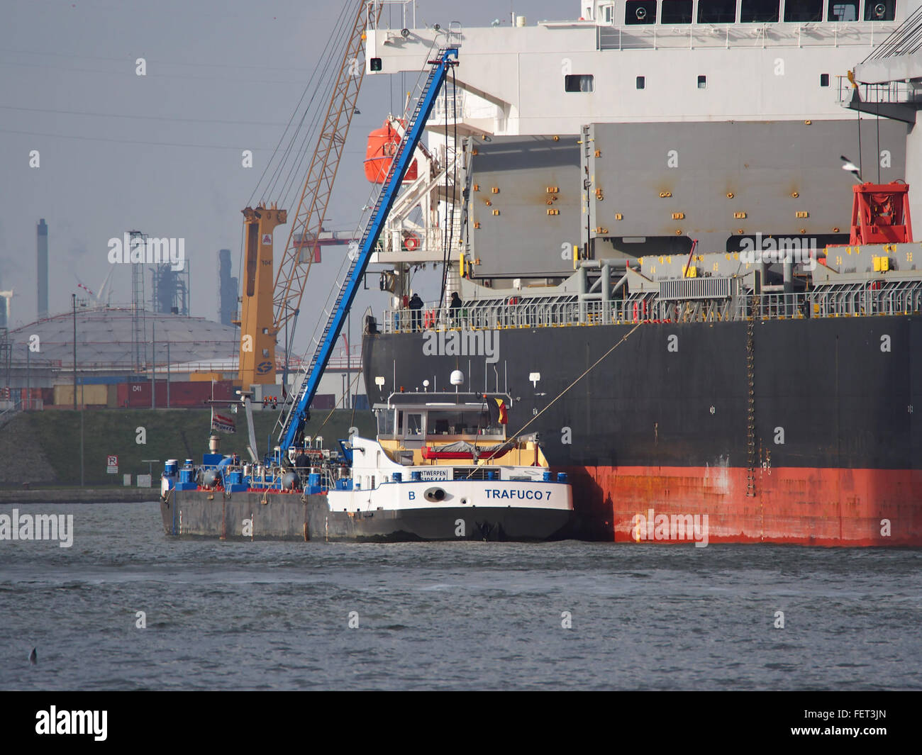 7 Trafuco (nave, 2014) ENI 06105444 porto di Anversa Foto Stock