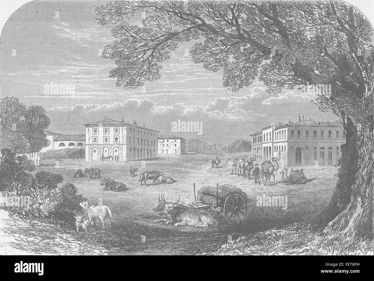 Italia Il Gombo, nr Pisa, azienda di Victor Emmanuel 1864. Illustrated London News Foto Stock