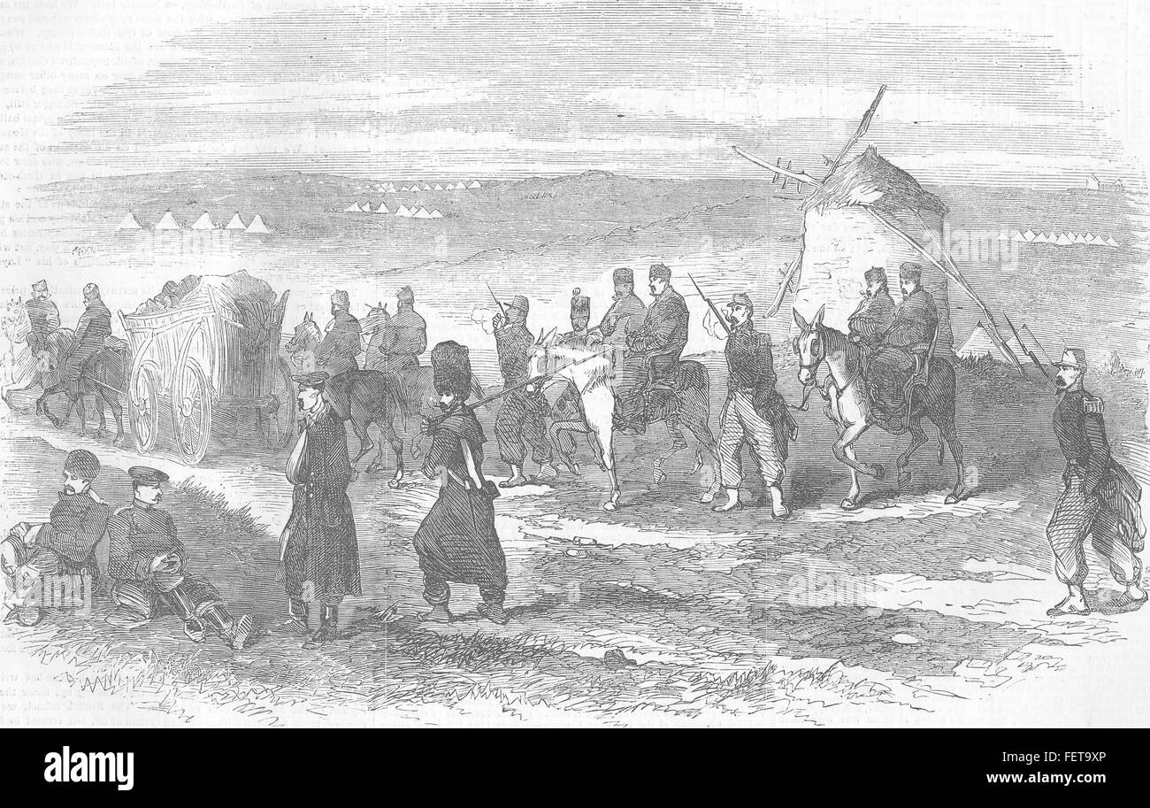 Ucraina Cacolets Francese Inglese trasporto feriti 1855. Illustrated London News Foto Stock