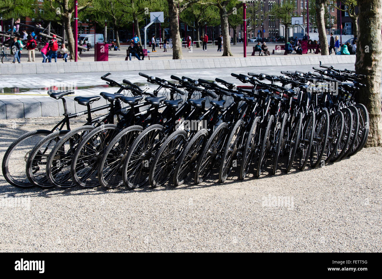 Amsterdam, Olanda, Museumplein park - 7 Maggio 2016: qualsiasi biciclette fianco a fianco Foto Stock