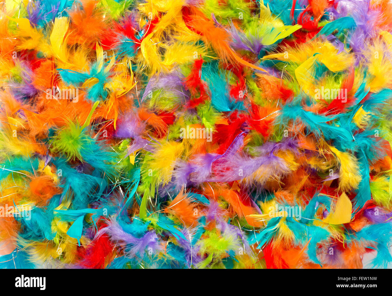 Sfondo colorato di vivida vivacemente colorato tinti morbidi le penne degli uccelli Foto Stock