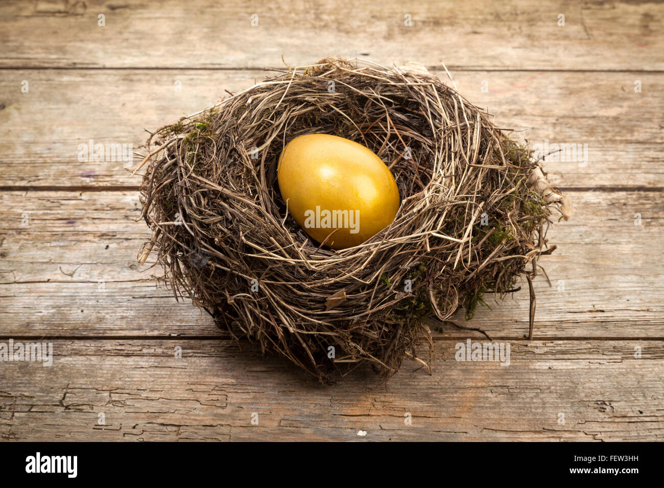 Concetto di finanza - golden egg nel nido in legno rustico sfondo Foto Stock
