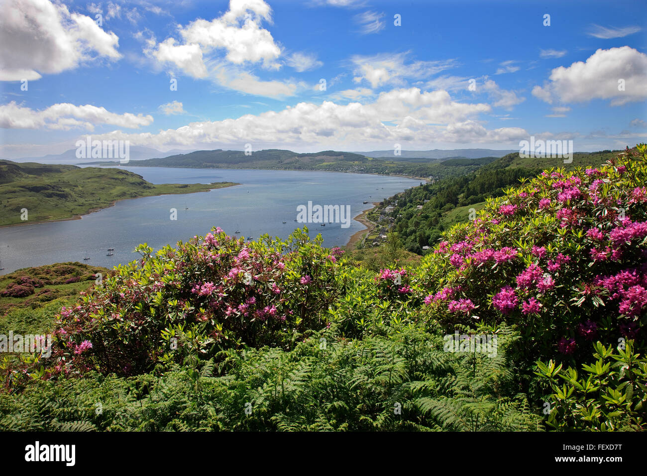 Tignabruaich con Bute e Arran in vista, Argyll Foto Stock