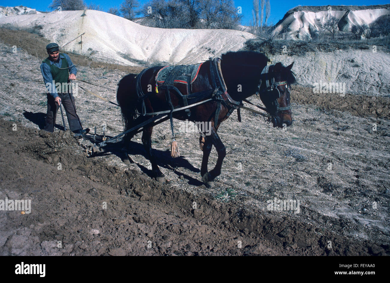 Bagno turco agricoltore o contadino di aratura o operazioni di aratura con aratro Horse-Drawn in Cappadocia Turchia Foto Stock