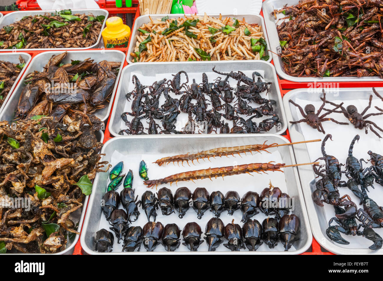 Thailandia, Bangkok, Khaosan Road, venditori ambulanti Visualizzazione di insetti fritti Foto Stock