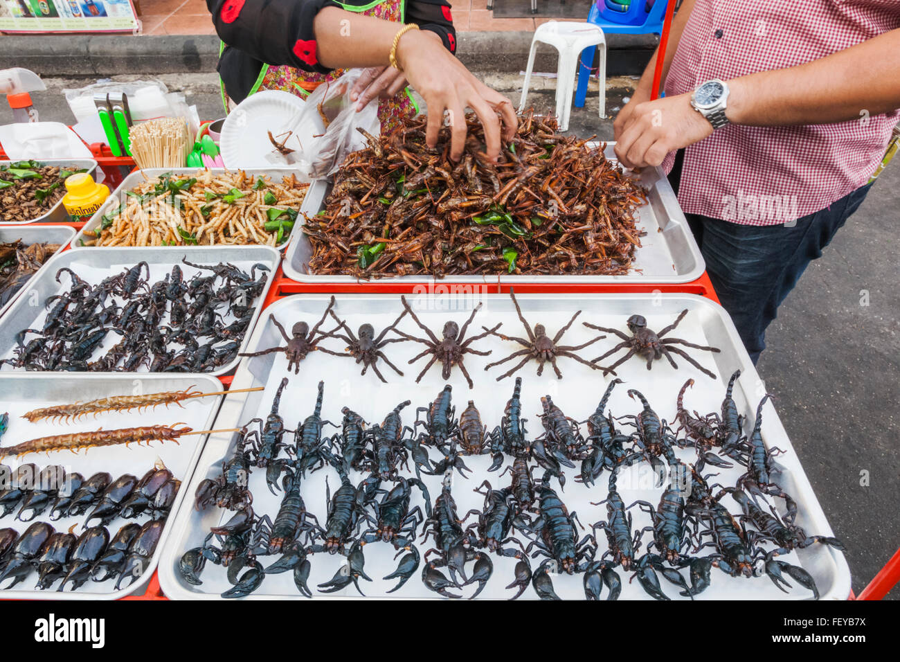 Thailandia, Bangkok, Khaosan Road, venditori ambulanti Visualizzazione di insetti fritti Foto Stock