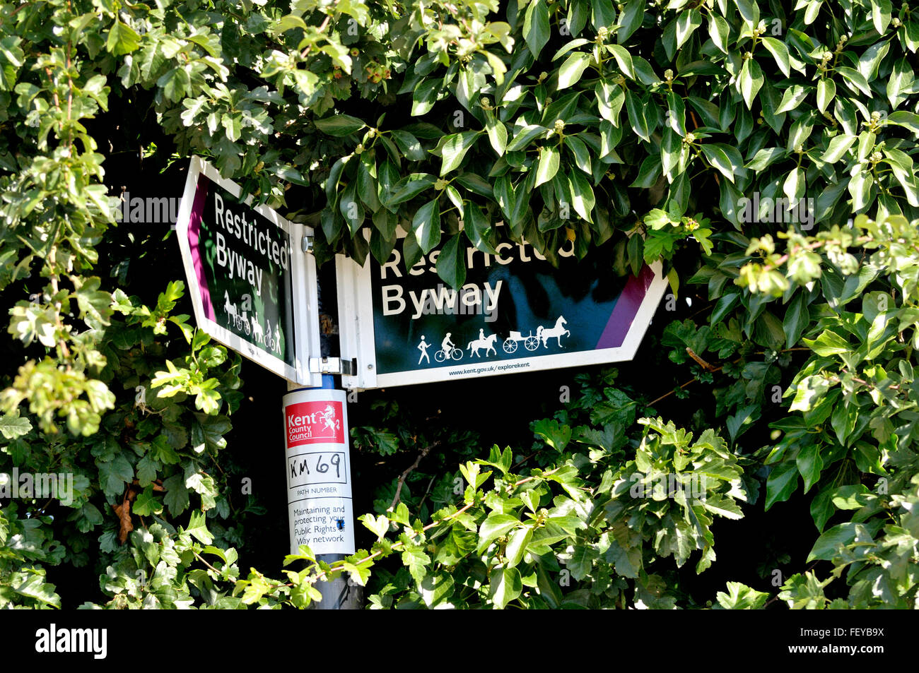 San Donato Monchelsea village, Maidstone, Kent, Regno Unito. Oscurato " limitata Byway' segno, parzialmente nascosto in una siepe Foto Stock