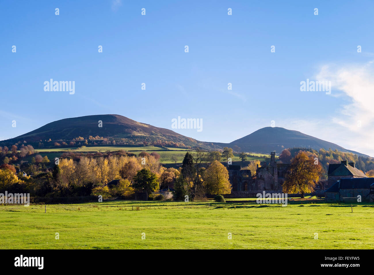 Eildon colline sopra Melrose Abbey in alberi nel colore di autunno. Melrose, Roxburgh, Scottish Borders, Scozia, Regno Unito, Gran Bretagna Foto Stock