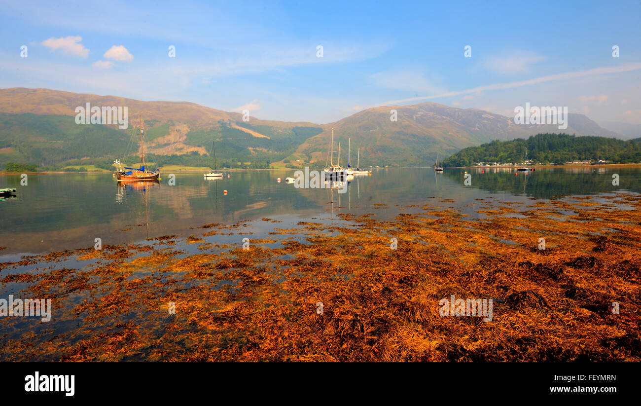 Autunno pacifica di scena sul Loch Leven, West Highlands. Foto Stock