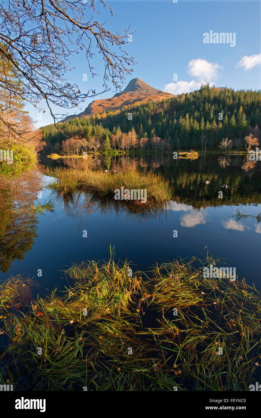 Ritratto del Pap di sintesi, West Highlands Foto Stock