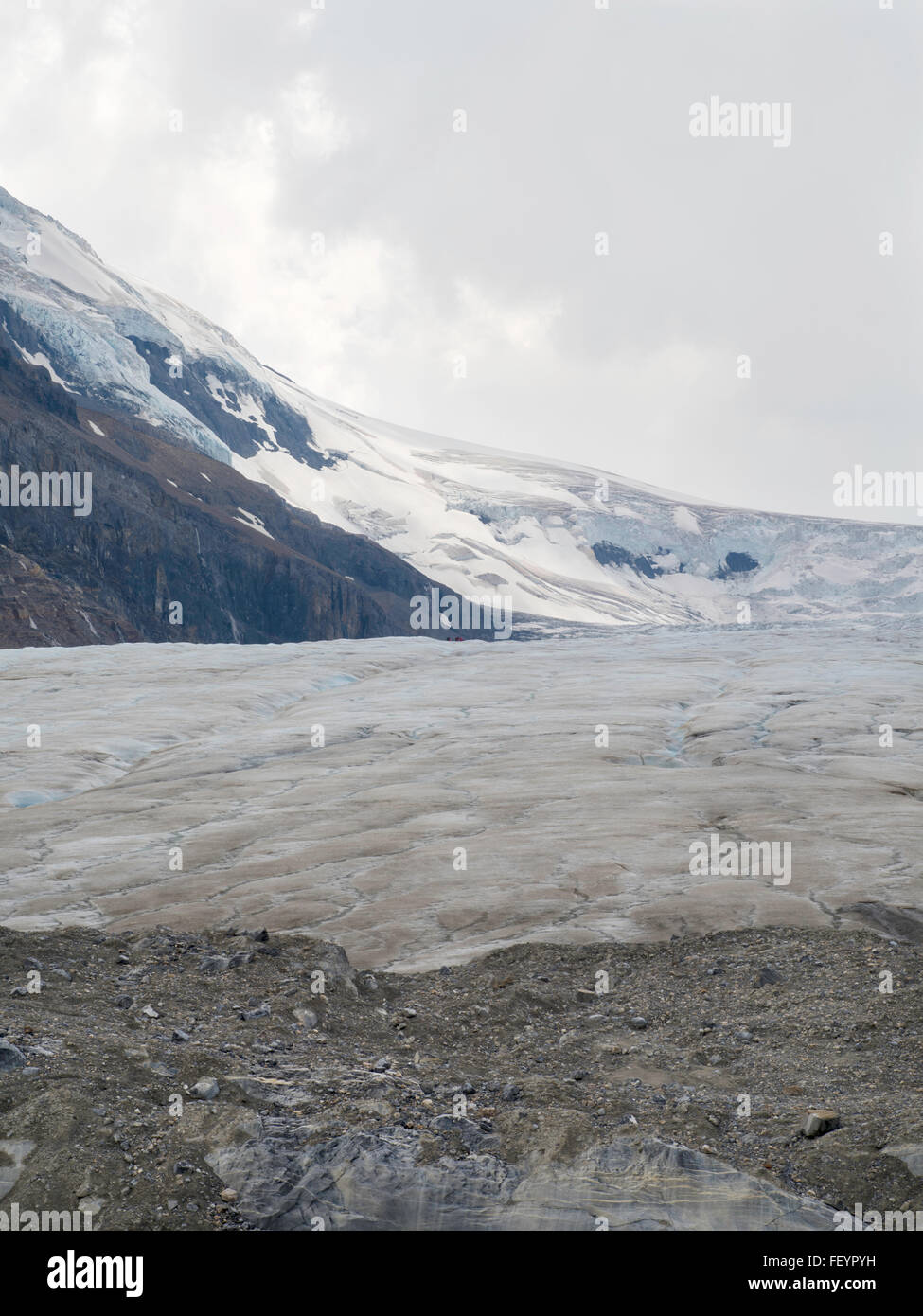 Vista dell'Athabasca Glacer lungo la Icefields Parkway, Jasper National Park, Alberta, Canada, su un nuvoloso giorno. Foto Stock