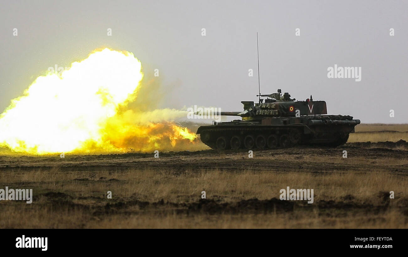 Stati Uniti, Rumeno e moldavo organi militari partecipano in un serbatoio shoot prova durante il platino Lynx 16-2 a Smardan Area Formazione, Romania, Dicembre 9, 2015. Esercizio Platinum Lynx 16-2 È NATO-led esercizio multinazionale progettato per rafforzare la lotta contro la disponibilità, aumentare migliorare le capacità collettive e mantenere relazioni comprovate con alleati e partner delle nazioni. Foto Stock