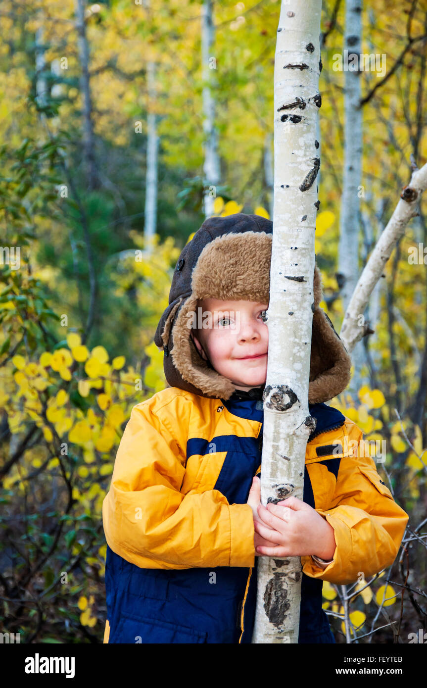 Ragazzo spiata dietro Aspen Tree Foto Stock Ragazzo spiata dietro Aspen Tree Foto Stock