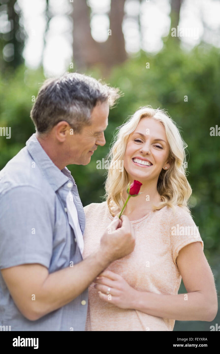 Il marito che offre una rosa alla moglie Foto Stock