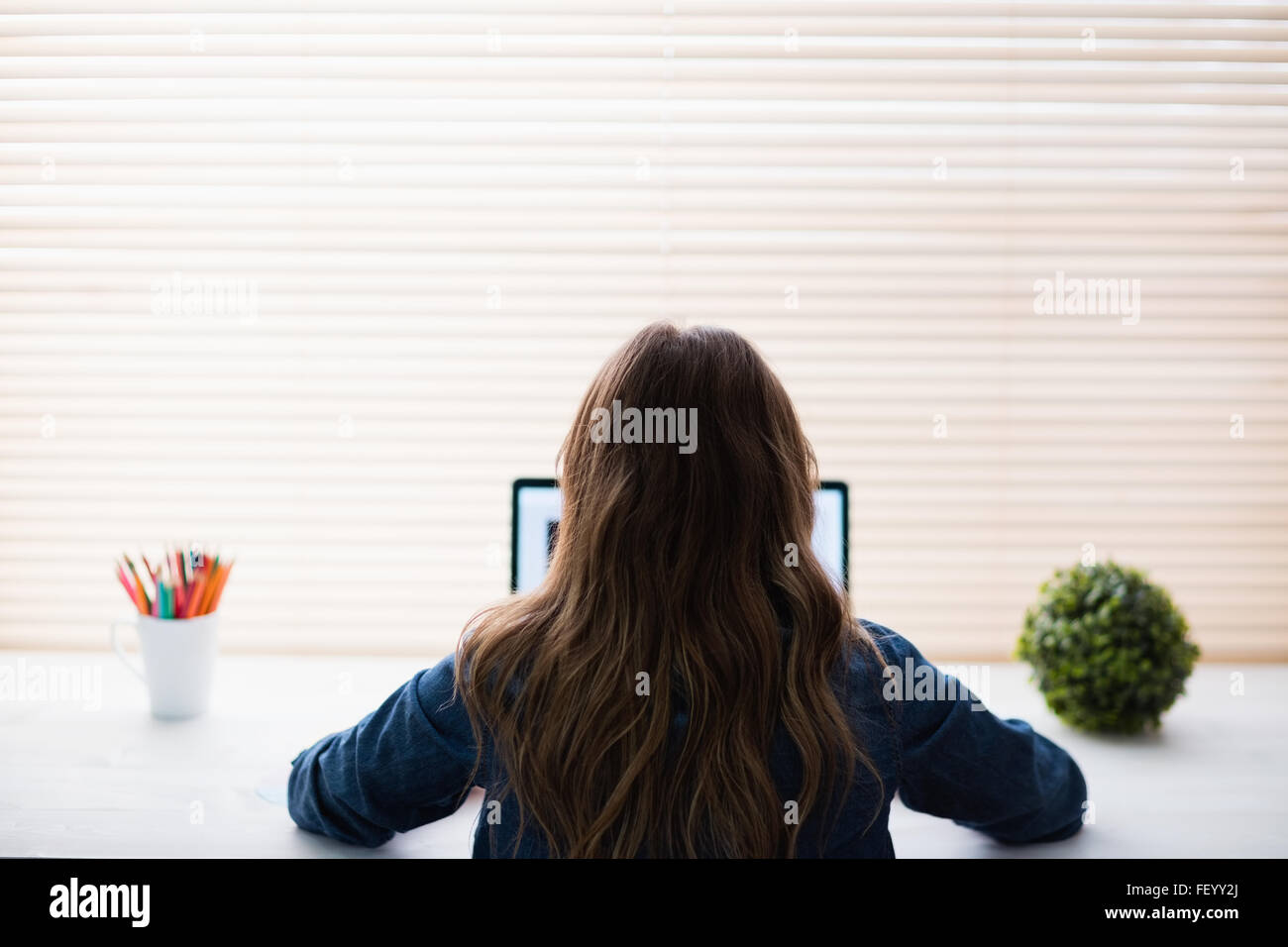 Vista posteriore del hipster imprenditrice utilizzando laptop Foto Stock