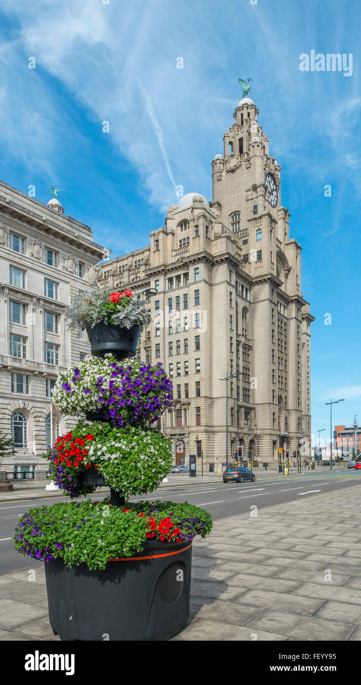 Il Royal Liver Building, Liverpool. Foto Stock