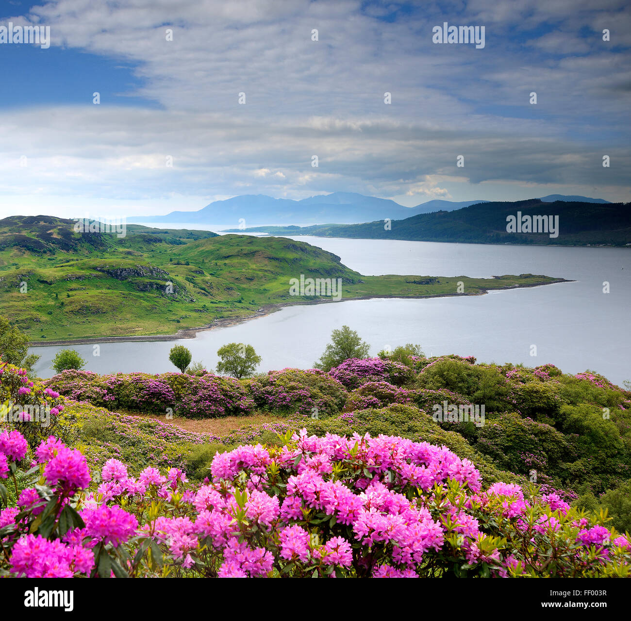 Vista primavera guardando oltre il Kyles of Bute con l'isola di Arran in vista, Argyll Foto Stock