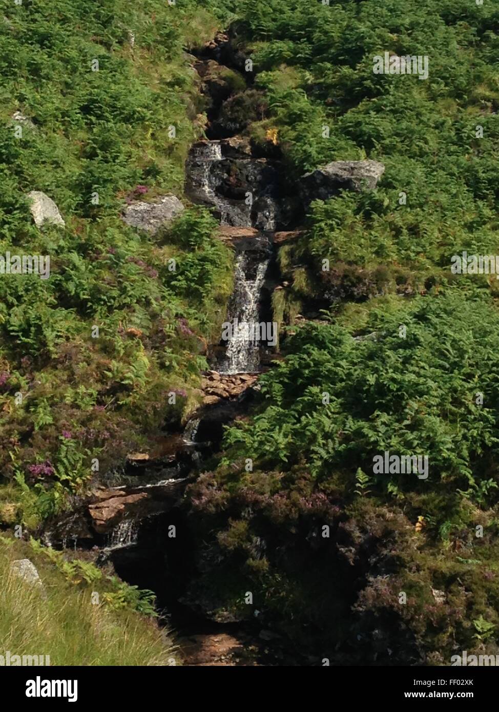Cascata scozzese nelle highlands con verde bracken su entrambi i lati di esso Foto Stock