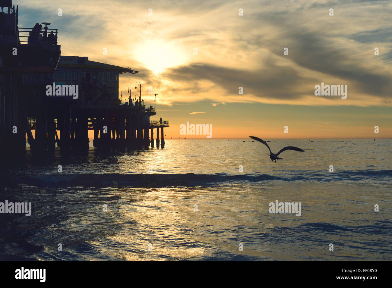 Seagull volare oltre oceano onde Seagull volare sopra le onde del mare Foto Stock