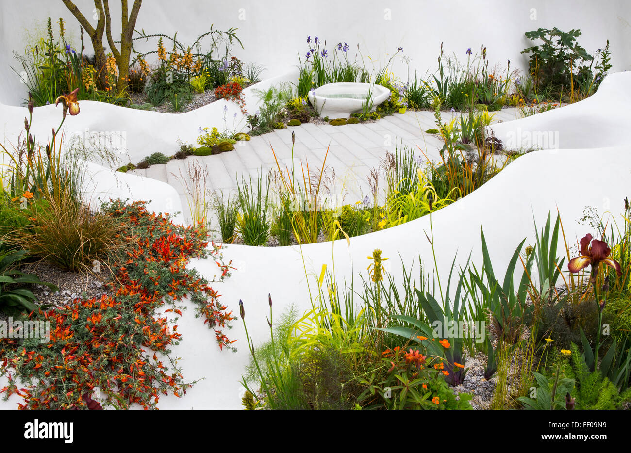 Chelsea flower show 2015 LONDON REGNO UNITO Foto Stock