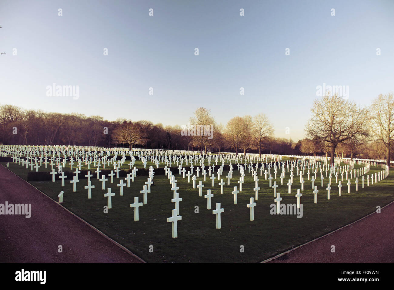 File di marcatori a croce bianca delimitano un cimitero, simboleggiando il rispetto e la memoria. La disposizione ordinata nel cimitero offre un'atmosfera solenne e tranquilla. Foto Stock