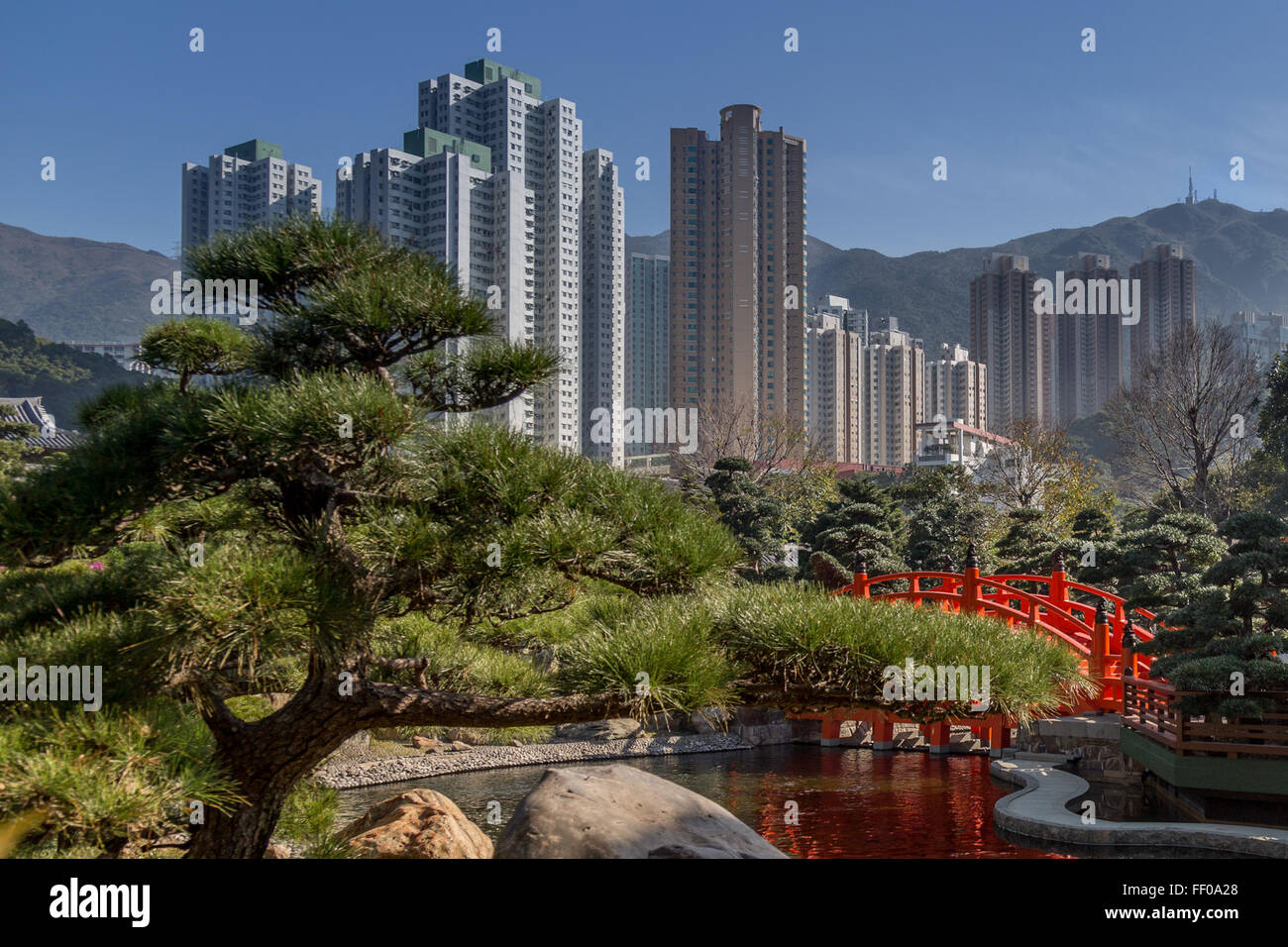 Un giardino giapponese presenta un tranquillo laghetto e elementi di ponte vicino ai grattacieli moderni. Il contrasto tra il giardino tradizionale e l'architettura urbana crea un suggestivo paesaggio urbano. Foto Stock