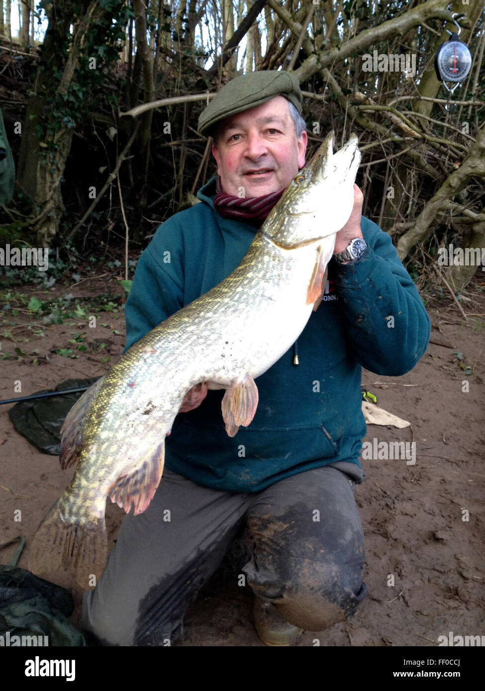 Il pescatore con 19lb 12oz luccio catturati dal fiume Wye a Warren Hay-on-Wye Powys Wales UK. La pesca ha una regola di cattura e rilascio di ritornare questi pesci selvatici al fiume conservare gli stock ittici per il futuro. Foto Stock