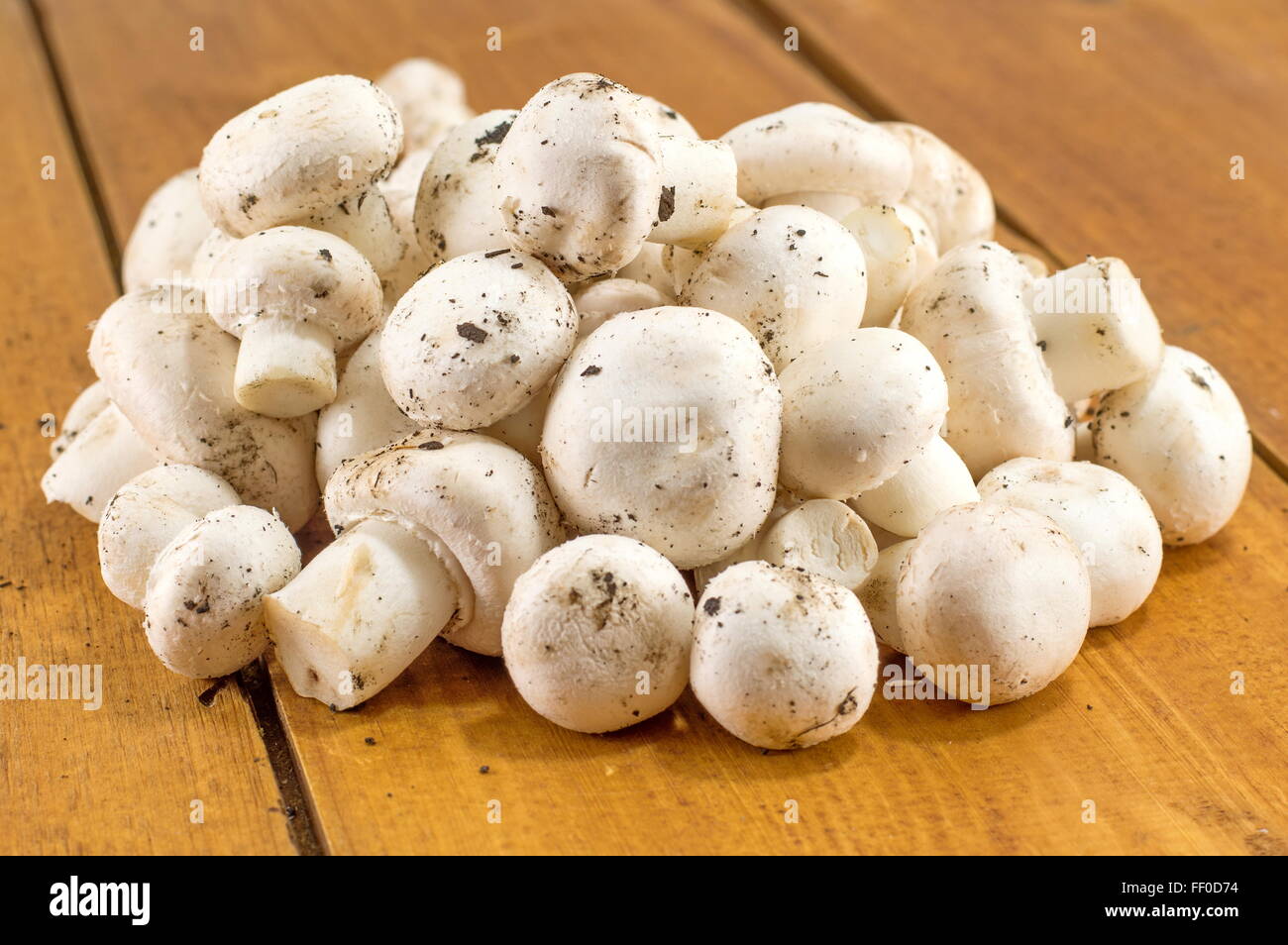 Mazzetto di funghi su un tavolo di legno closeup Foto Stock