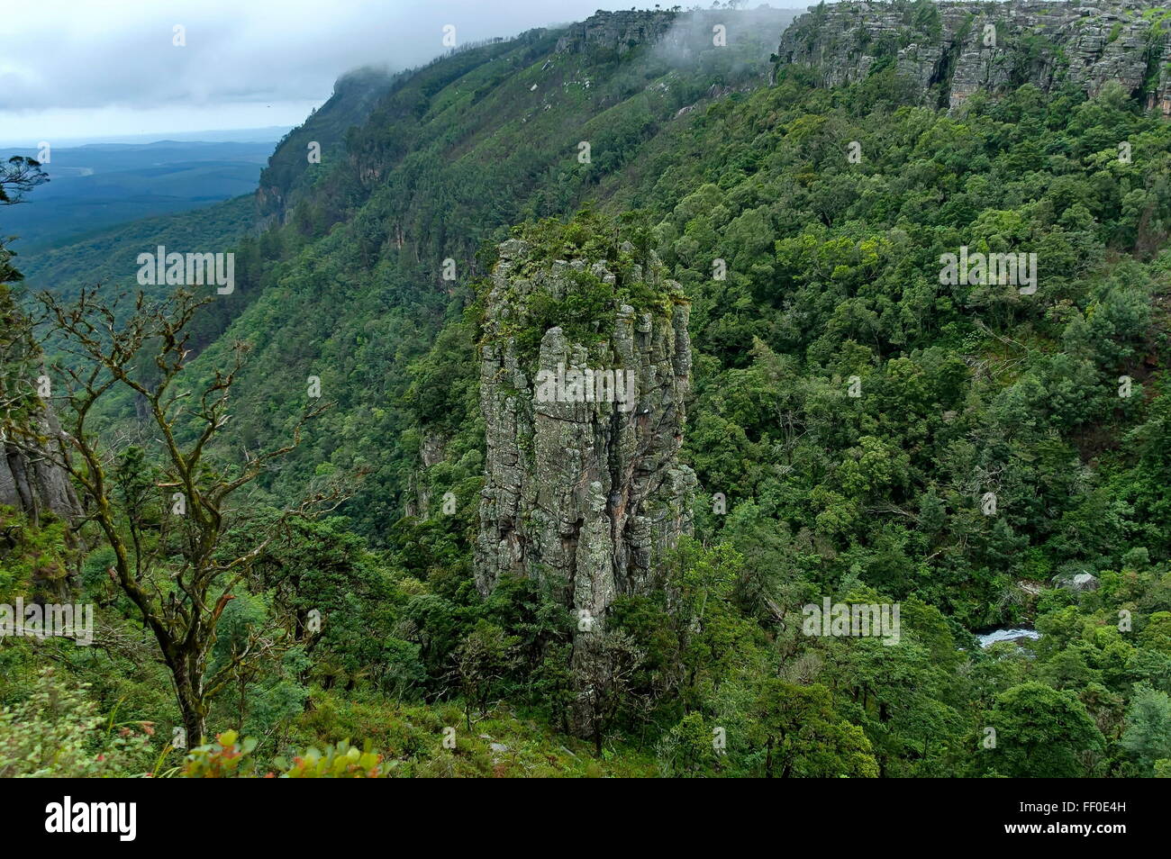 Pinnacolo di roccia fenomeno nel Fiume Blyde area, Sud Africa Foto Stock