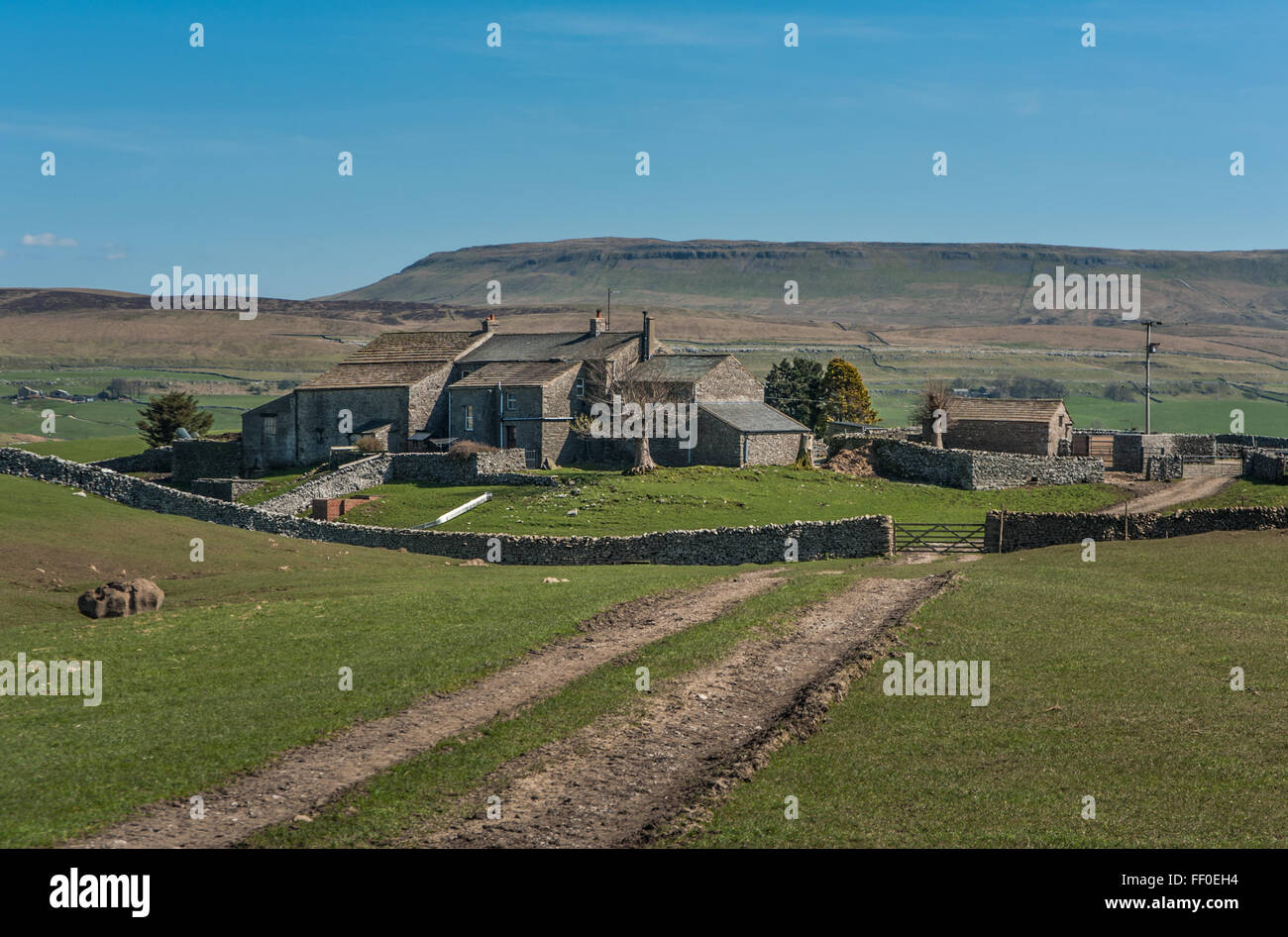 Borrins Agriturismo vicino a Horton in Ribblesdale Foto Stock