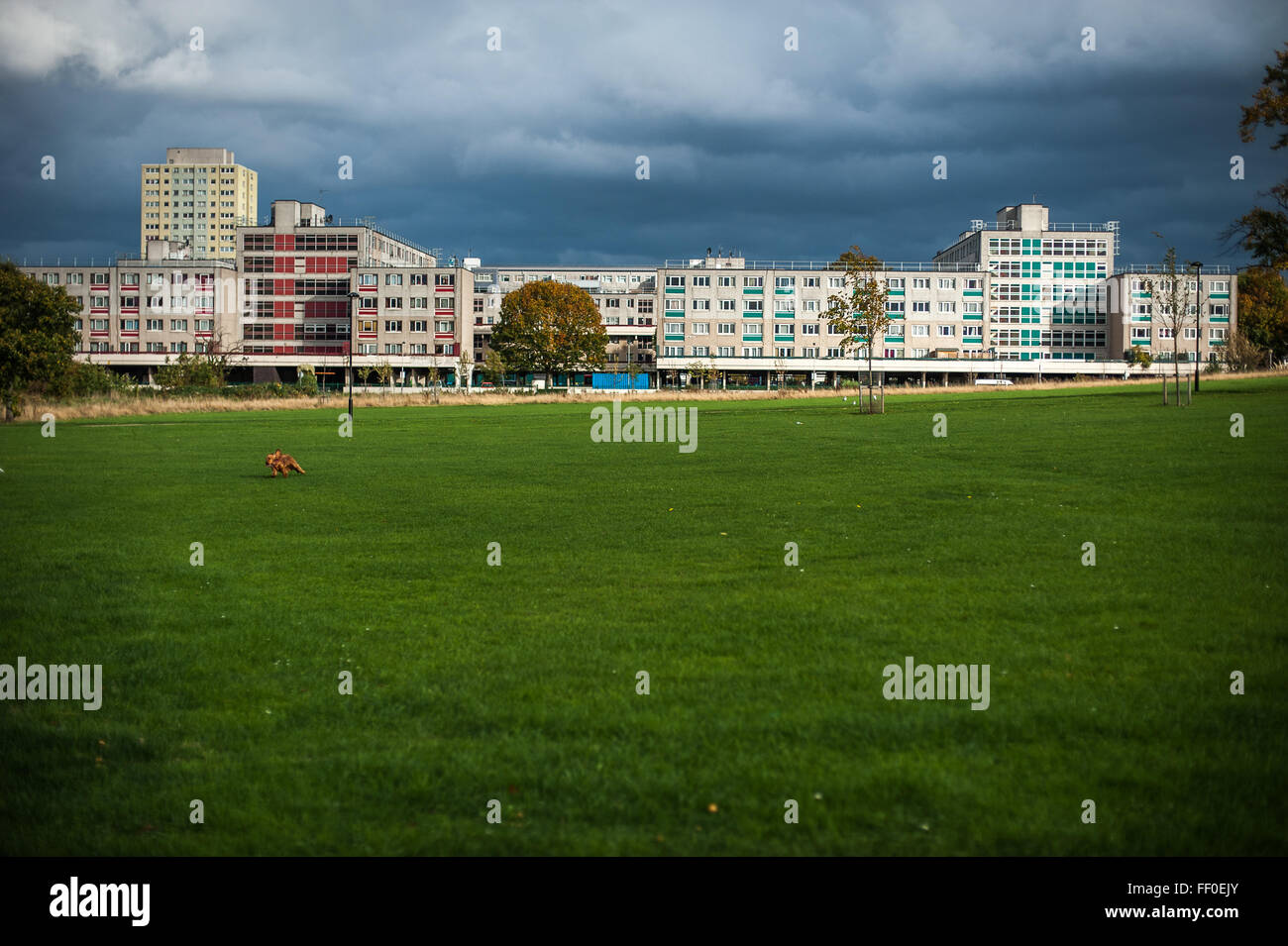 Nuvole temporalesche raccolta su Broadwater Abitazioni station wagon, Tottenham, Londra Foto Stock