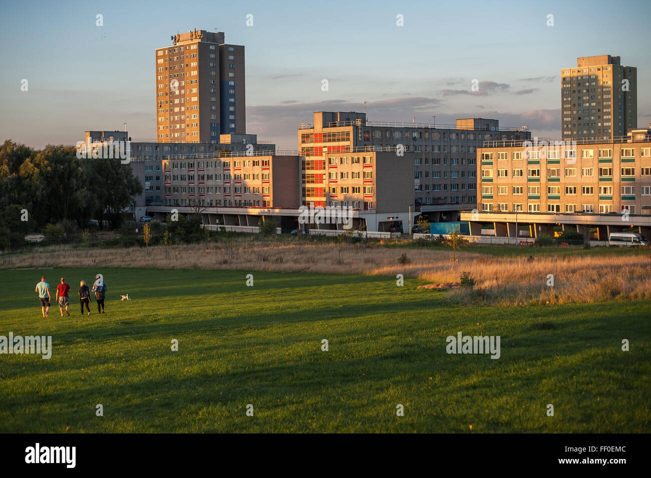 Broadwater Abitazioni Station Wagon , tardo pomeriggio d'estate, Tottenham, Londra Foto Stock