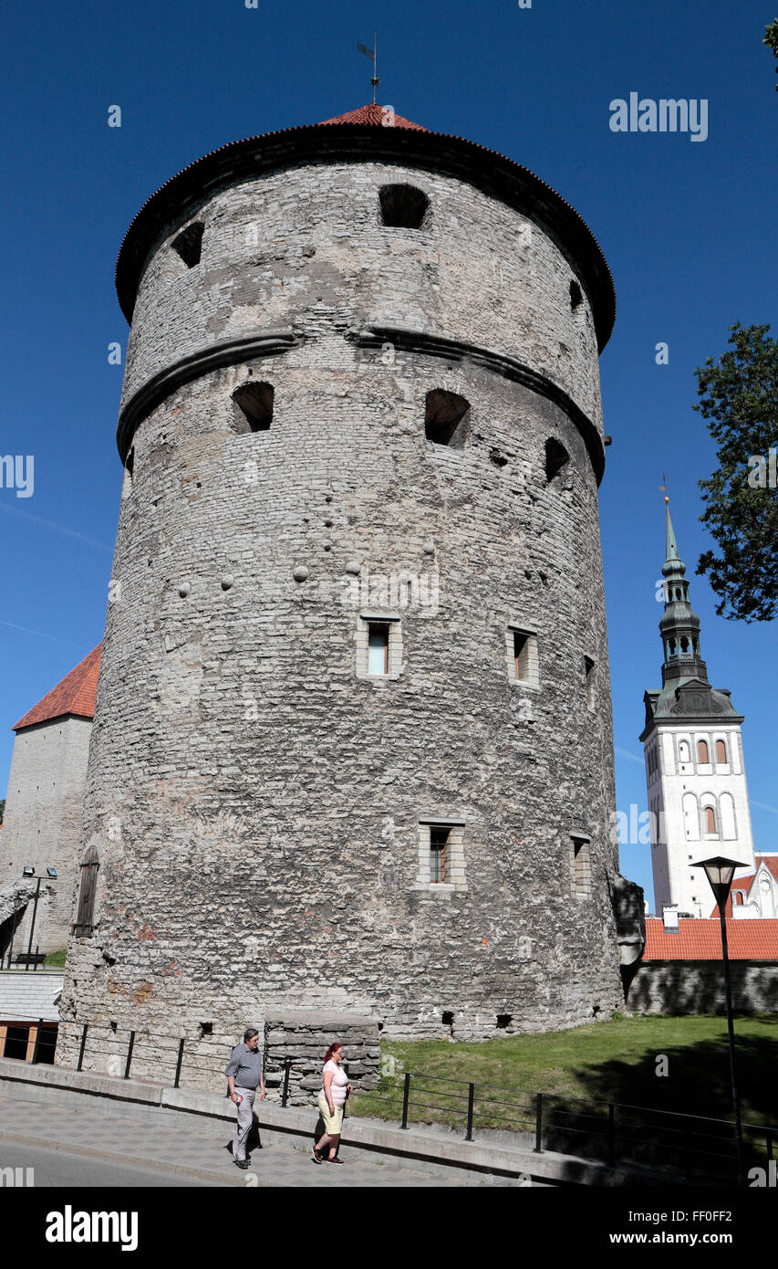 Il Kiek in de Kök torre (peep in cucina torre) e la guglia della Cattedrale di St Mary a Tallinn in Estonia. Foto Stock